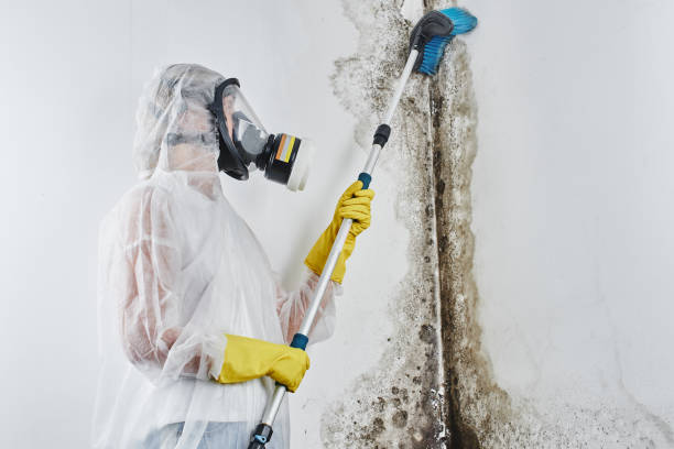 Best Fast Mold Removal  in Bixby, OK