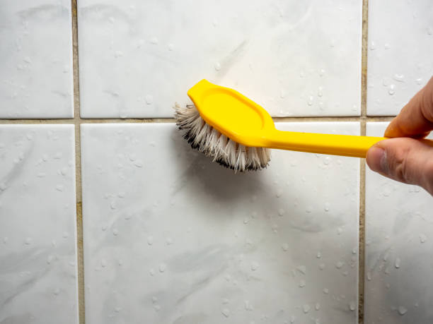 Best Mold Removal Specialists  in Bixby, OK