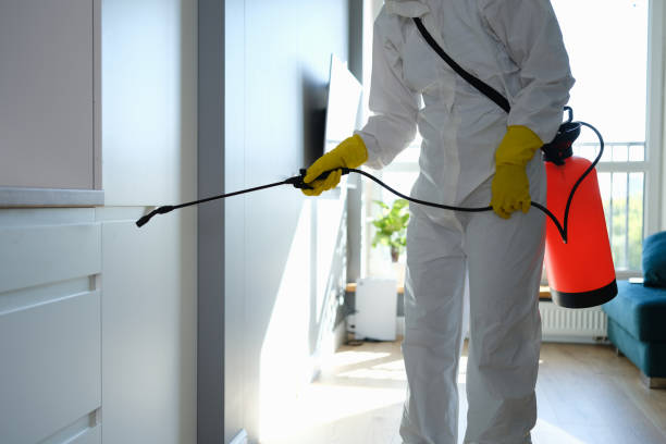 Best Crawl Space Mold Removal  in Bixby, OK