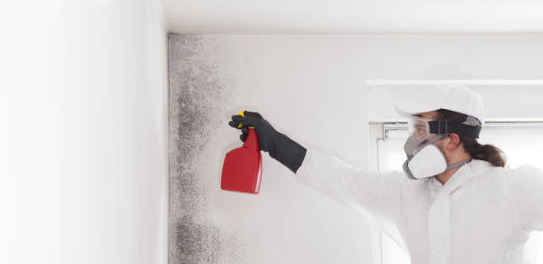 Best Local Mold Removal Service  in Bixby, OK