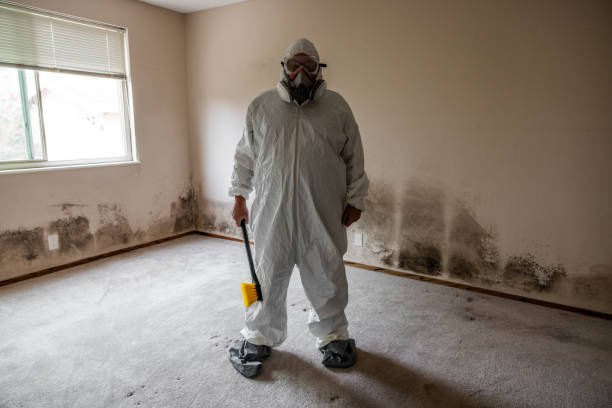 Best Professional Mold Removal  in Bixby, OK