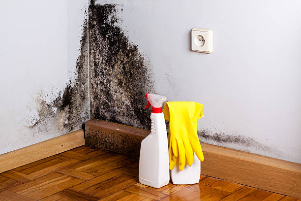 Best Mold Removal Process  in Bixby, OK