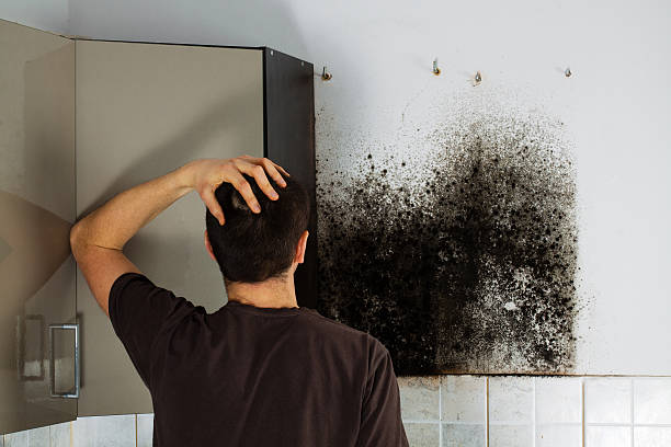 Mold Removal Process in Bixby, OK